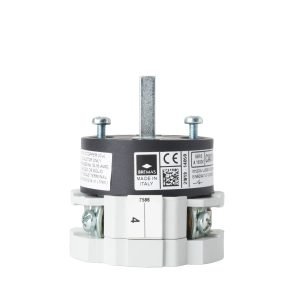 Alternative view of RANCILIO GROUP SWITCH 0-1  20A