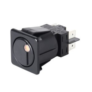 FAEMA SPECIAL GROUP SWITCH