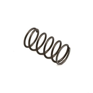 VALVE SPRING